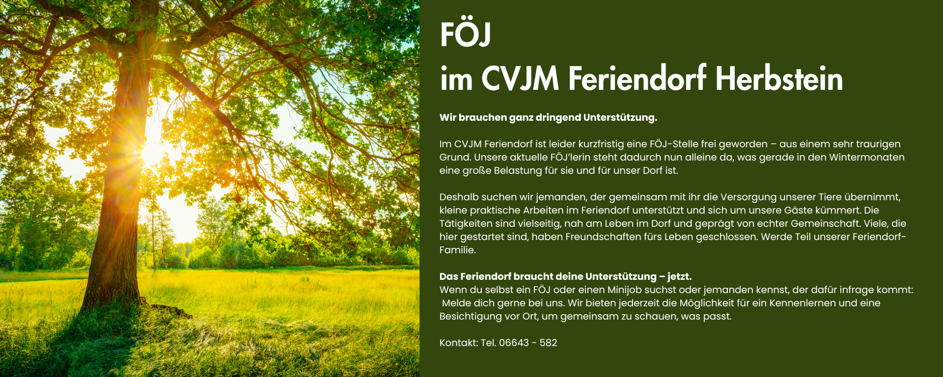 FÖJ dringend gesucht!