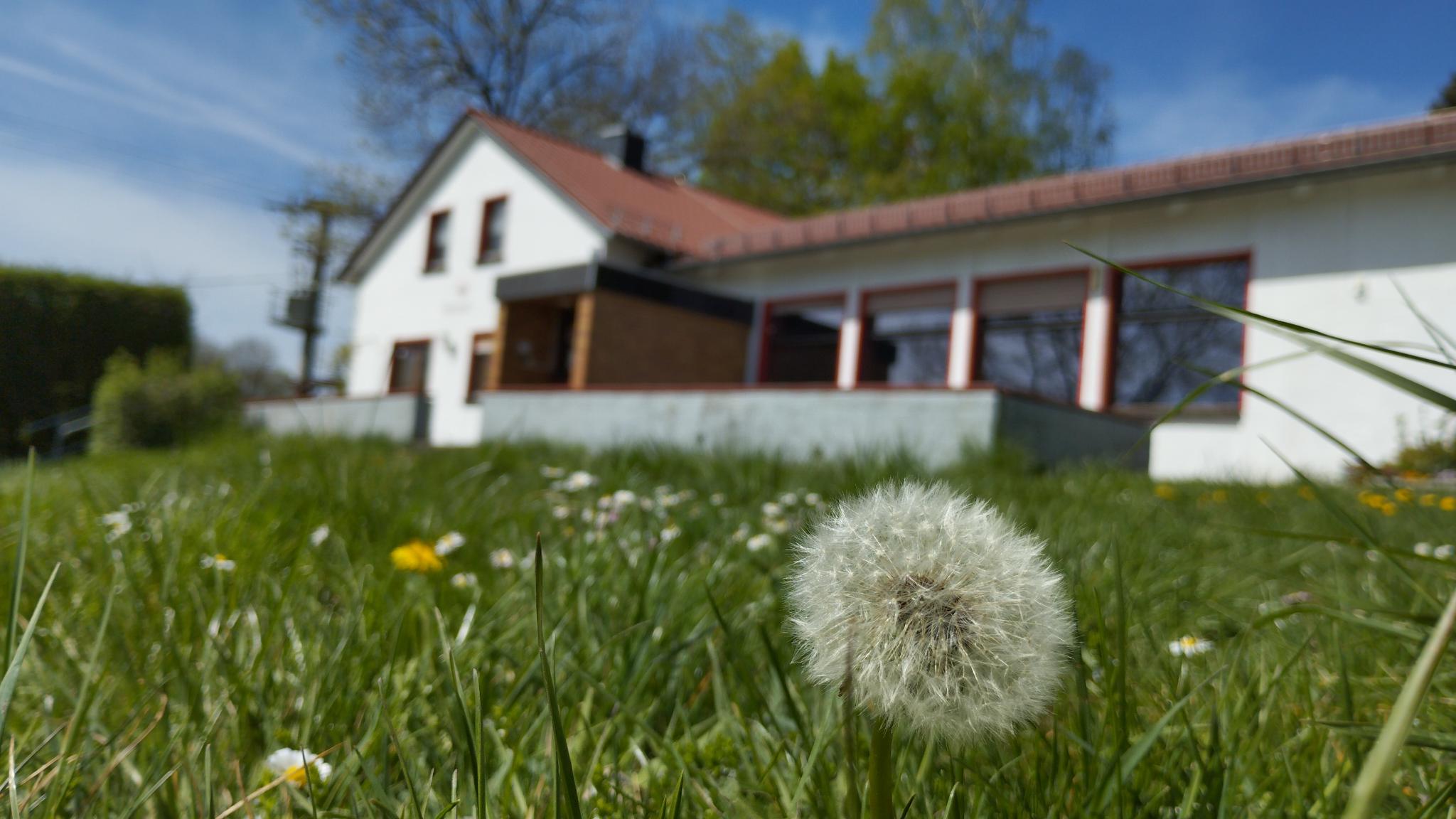 signal-2025-04-27-124302